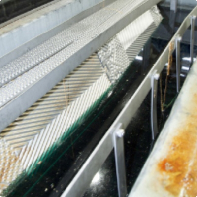 탈지조·세정조  침지 작업